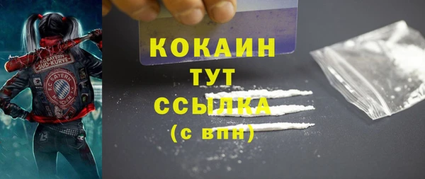 гашик Карталы