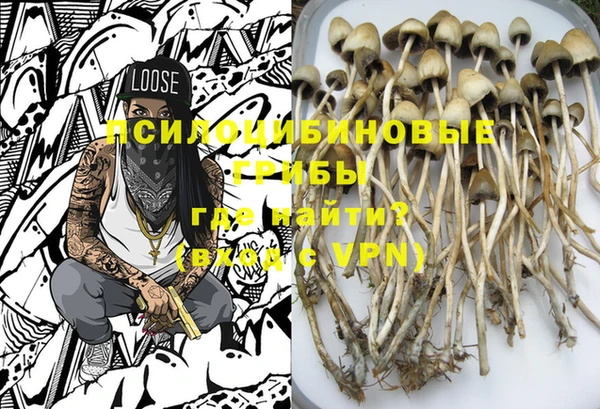 гашик Карталы