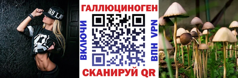 Купить  Елабуга  Галлюциногенные грибы Cubensis 